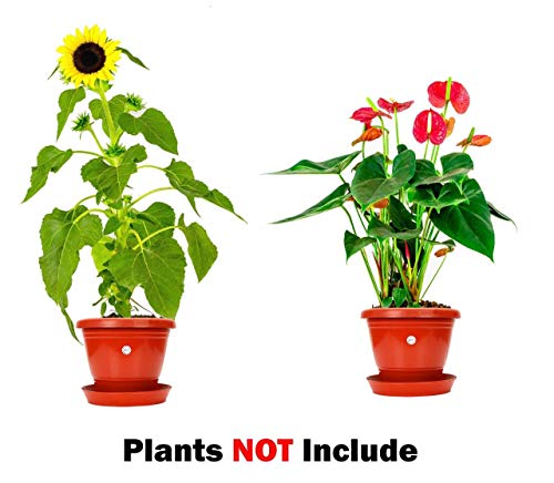 Image of Kraft Seeds 8-inch Garden Balcony Flowering Planter with Bottom Plate /Tray (Red /Terracotta, Pack of +Agro peat /Coco peat (1 KG)