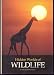 Hidden Worlds of Wildlife