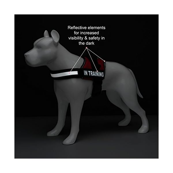 Service Dog in Training Vest Harness with 2 Removable Saddle Bags, Dog Backpack with 2 Reflective in Training Patches (Large, Red) Service Dog in Training Vest Harness with 2 Removable Saddle Bags, Dog Backpack with 2 Reflective in Training Patches (Large, Red)