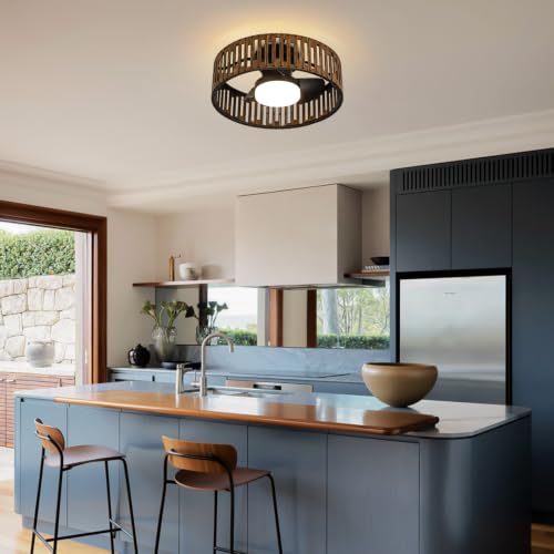 Image of fandelier ceiling fan with light,low profile ceiling fans with led lights,boho ceiling fan,farmhouse 20 inch caged bladeless ceiling fan with remote for Bedroom Kitchen Kid's Room