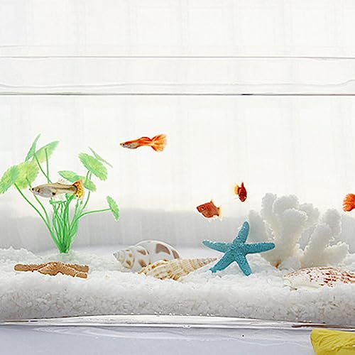 POPETPOP 10 Pcs Estrela Do Mar Praia Verão Ornamento Estrela Do Mar Decoração Estrela Do Mar Estrela