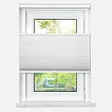 Cordless Top Down Bottom Up Cellular Shades,Blackout Honeycomb Blinds Fabric Window Shades White(100