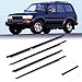 Aintier Premium Window Molding Trim Perfect Fit for for Toyota Land Cruiser 100 Series,1998-2007 for Lexus LX450 Replaces OEM 75710-60061 75720-60061 75730-60041 75740-60041 Weatherstrip Window Seal