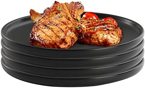 ZENFUN Set of 4 Porcelain Dinner Plates, 10Inch/25.4CM Matte Ceramic Dish Steak Plates, Elegant Large Round Serving Plates for Salad, Pasta, Pizza, Dishwasher & Microwave Safe, Black