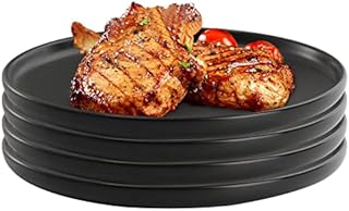 ZENFUN Set of 4 Porcelain Dinner Plates, 10Inch/25.4CM Matte Ceramic Dish Steak Plates, Elegant Large Round Serving Plates for Salad, Pasta, Pizza, Dishwasher & Microwave Safe, Black