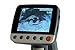 Celestron 44360 Infiniview LCD Digital Microscope (Black)