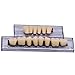 RZJZGZ 168 Pcs Dental Synthetic Resin Tooth Denture 6 Sets False Teeth for Halloween Horror Teeth 23 A3