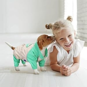 Dog-Raincoat-for-Small-Dogs-DricRoda-Dog-Rain-Jacket-Small-Dog-Rain-Coat-for-Dogs-Cute-Waterproof-Dog-Raincoats-with-Hood-and-Leash-Hole-XL-Size - Cucciolini Doodles   Dog-Raincoat-for-Small-Dogs-DricRoda-Dog-Rain-Jacket-Small-Dog-Rain-Coat-for-Dogs-Cute-Waterproof-Dog-Raincoats-with-Hood-and-Leash-Hole-XL-Size