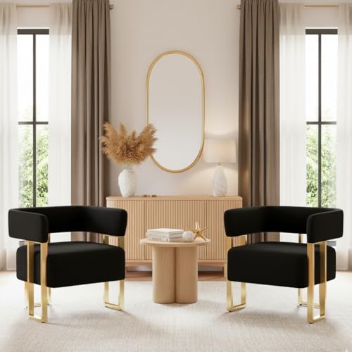 AODAILIHB Modern Accent Chairs Set of 2, Black Teddy Fleece