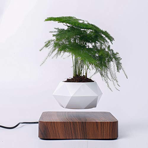 QUWOTXE Levitazione magnetica Aria galleggiante Bonsai ornamenti creativi Rotazione pianta in vaso Sospensione Vaso di fiori Home Desk Decor (marrone scuro)