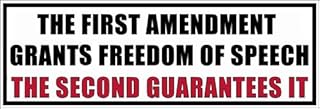 Magnet The First Amendment Grants Freedom of Speech The Second Guarantees it Bumper Magnetic Sticker (Gun 2nd)
