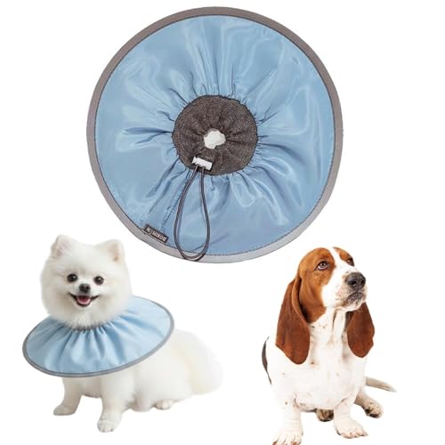 LifetipsoZbgnEh oZbgLp GUxXJ[ h \tg y pPA ی Ȃߖh~ p EȒP 􂦂 PAJ[(xr[u[j(Lj