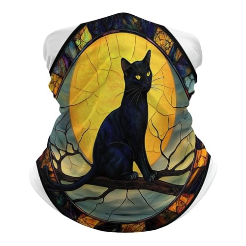 KWQDOZF Pasamontañas para el cuello, bandana, máscara y cubrebocas con diseño de gato negro sentado en una rama para hombres y mujeres