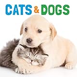 Cats & Dogs (Animal Lovers)