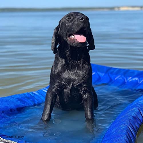 Lazy Dog Loungers Dog Pool Float, Raft for Dogs and Pets - Semi-Submersible to Keep Your Dog Cool - Lake, Pool, River and Boat (Large, Royal Blue) - Thumbnail 2