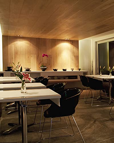 Simusi 6 x MR16 Halogen GU5.3 12V 20W Dimmable Ceiling Light Bulbs 2 Pin Halogen Spot Light Bulbs 2700K Warm White… – Bild 8