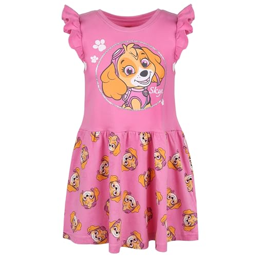 Vestido niña Paw Patrol Skye de algodón gris para jugar en el parque