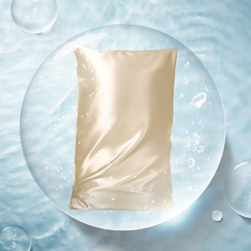 THXSILK HA Silk Pillowcase for Hair and Skin, 22 Momme 100% Pure Mulberry Silk, Aqua Series Hydrating Moisturizing Pillow Cover with Hidden Zipper Closure - Champagne, Twin