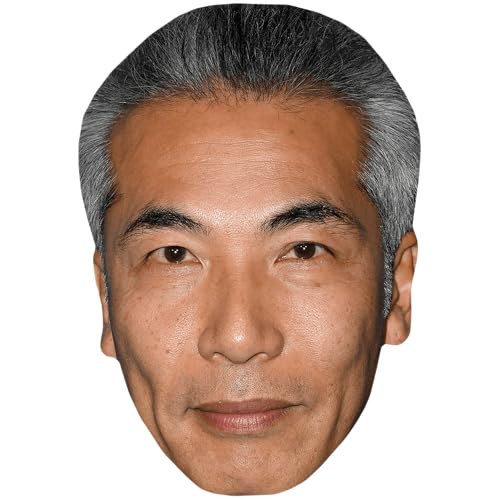 Bild: Hiro Kanagawa (Grey Hair) Maske aus Karton f�r 8,97 EUR bei amazon.de