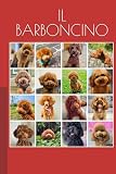 barboncini nani milano  IL BARBONCINO: Edizione speciale per \