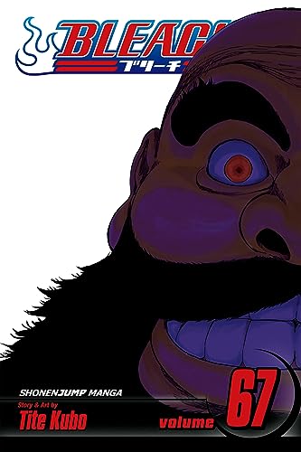 Bleach, Vol. 67: Black