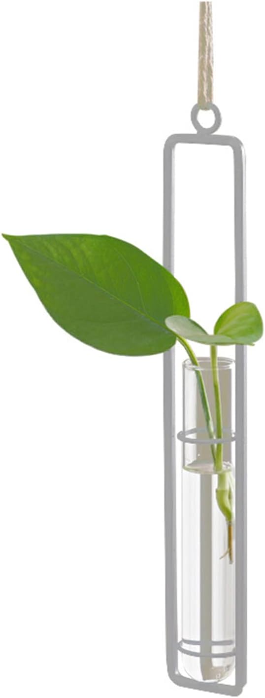 3 Pieces Hanging Plant Glass Test Tubes Hydroponic Vase Planters Wall-Mounted Terrarium Container for Indoor Outdoor Home Decoration (White) - Image 2