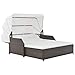 vidaXL Chaise Longue 2 Place Auvent Marron Résine Tressée Bain Soleil Transat