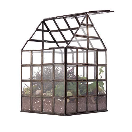 Urban Born Grid Greenhouse Large Glass Terrarium — 12" X 8" X 8" (Black Steel) #TOP5
