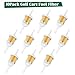 10L0L Fuel Filter with 1/4