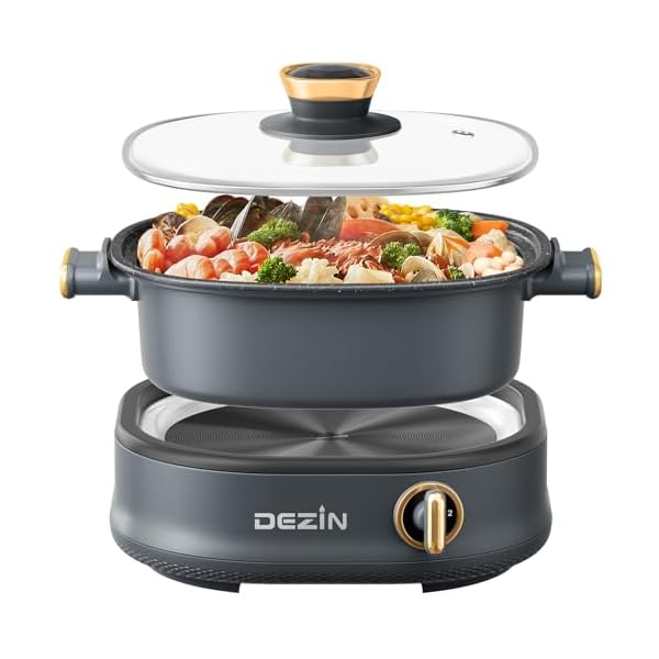 Dezin Electric Shabu Shabu Pot with Removable Pot, 3L Non-Stick Hot Pot Electric with Dual-Power Control, Electric Pot with Tempered Glass Lid for Party, Family Gathering