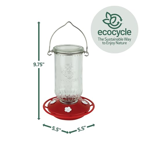 EcoCycle Ruby Roost Recycled Glass Hanging Glass Hummingbird Feeder for Outdoor Décor, 17 Ounce Capacity Nectar Feeder, 4 Removable Easy Clean Ports, Clear by EcoCycle - Image 2