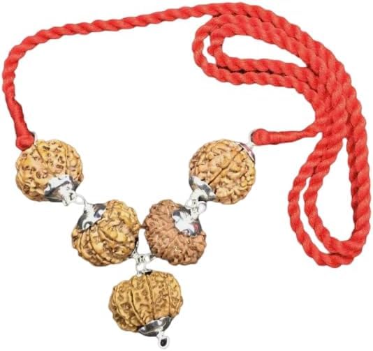 Rudraksha d'affaires Népal : surmontez les obstacles professionnels en argent