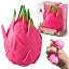 Dragon Fruit X1