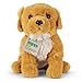 Imagen de Zappi Co Bailey el Golden Retriever de Peluche