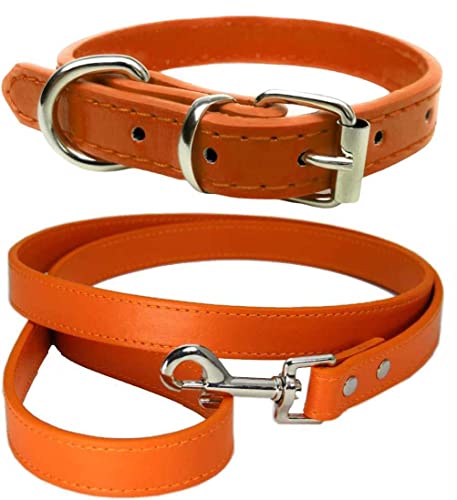 Lebendiges Leder-Hundehalsband & Leine-Kombinationsset für Welpen, kleine, mittlere & große Hunde (Mittel (28 cm - 36 cm Hals), Orange)