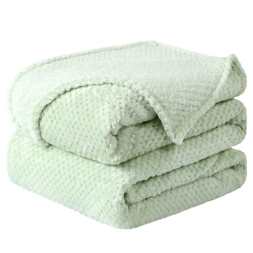 sourcing map Flannel Fleece Bed Blankets, Soft Warm Microfiber Blanket, Mesh Fuzzy Plush 330GSM Lightweight Decorative Solid Blankets for Bed Pale Green 150 x 200cm