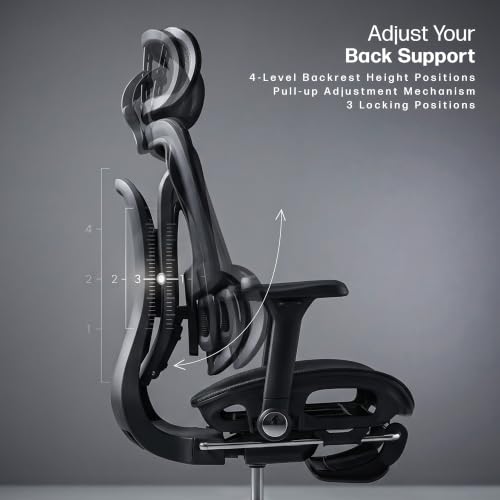 Image of DROGO Ergosphere Ergonomic Office Chair for Work with 3-Gear Floating Adjustable Backrest | 4D Armrest, 3D Headrest | Mesh Computer Chair with 135 Recline Lock | Dual Lumbar Support & Footrest(Black)