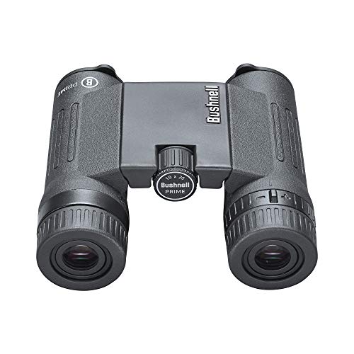 Binoculares 10x25 Roof Prism Bushnell miniatura 2