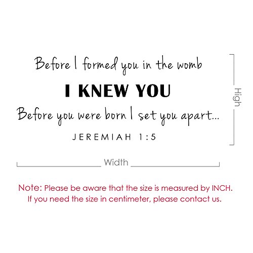 Before I Formed You In The Womb. Jeremiah 1:5 Bible Verse Vinyl Wall Decal Quotes (46X19 King Blue) #TOP3