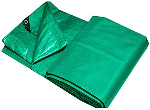 FF Waterproofing canvas Sun protection Thickening Tarpaulin Greenhouse fabric Greenhouse roof Special insulation Antifreeze cloth Oilcloth PE Green 240G / O (Color: GREEN Dimensions: 8 x 10 meters)