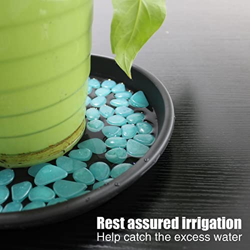 Zunteng Black Plastic Plant Saucer, 3Pcs Plant Tray,12Inch Flower Plant Pot Saucer For Indoor And Outdoor #TOP3