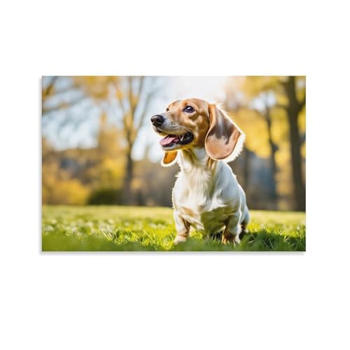 Teckel impression sur toile suspendre tableau mural chien 40 x 60 cm
