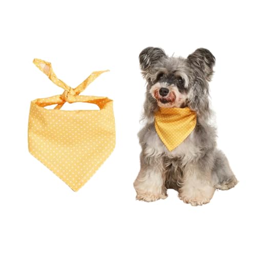 ybgruA̎Op`̃XJ[tAʃhbgp^[ALXJ[tA3̃X^C (C)