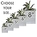 Sloth Planter, Take it Easy, Whitewashed Wood Garden Box or Decorative Bin (4 inch square)
