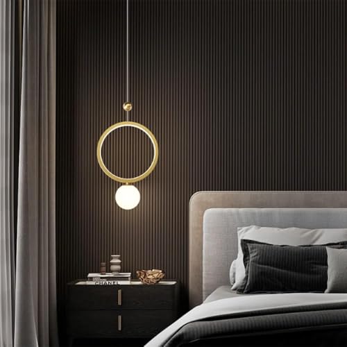 Lustre moderne simple et petite lampe suspendue de restaurant - 3