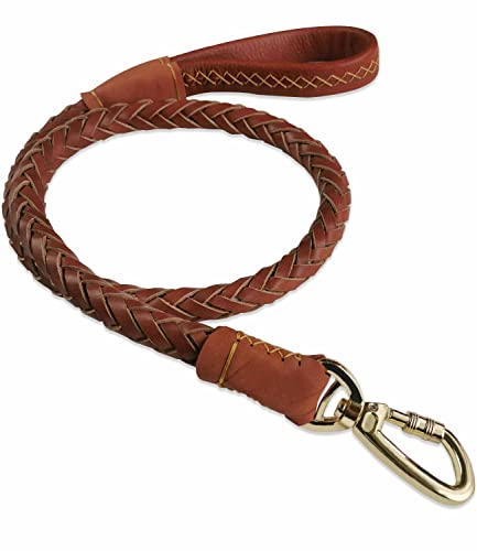 Vivi Bear Correa de Perro, marrón, Durable, Suave, Cuero Real, Trenzado, para Perros Grandes-1,1 m de Largo x 2,5 cm de Ancho Cover