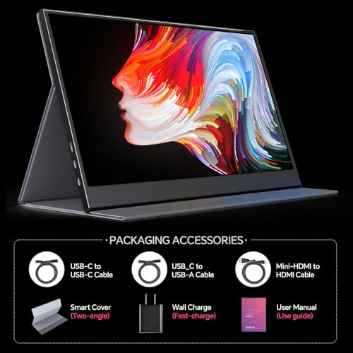 Image of Anyuse 15.6 inch 4K UHD IPS HDR USB-C HDMI Monitor