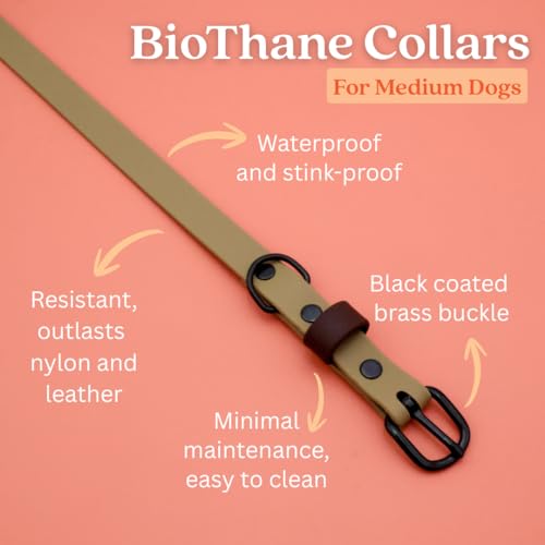 Collier pour chien imperméable facile à nettoyer contre les odeurs