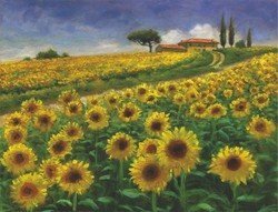 S3466MGL GIRASOLE (JAY HURST) Parete sottile arte