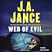 Web of Evil: A Novel of Suspense